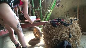 BDSM Babes Get Tied, Whipped and Ass Toyed