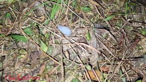 Midnight Jungle Sex,outdoor Sex with Clear Audio