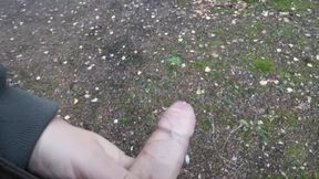 Public Masturbating and cumming in the Woods
