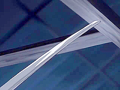 Intense Elegant Reflection hidden from reality