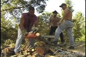 Lumberjacked: Crimes Against Nature