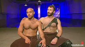 Leo Fortes Dream Comes True