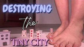 DESTROYING THE TINY CITY