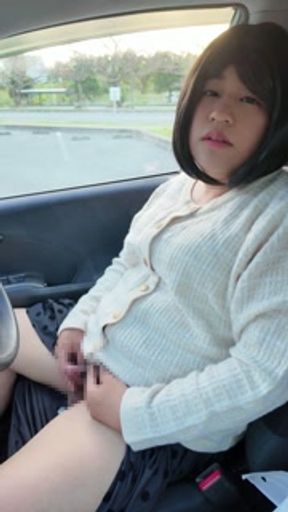 A pervert who masturbates in a car.