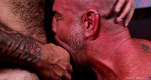 Bearback Beefy Bears Enjoy Each Other