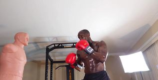 Boxing Workout When Designing a Core Training Program, the Local and Global Muscles Should Both Be Trained to Develop Proper Cor