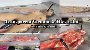 Transparent Vacuum Bed Restraint – Both Male & Female!