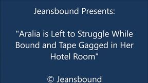 Aralia Bound and Gagged During Her Vacation - SD
