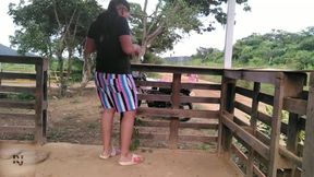 follando en corral mientras pasa la gente