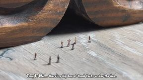 Mant Settlment (Part 2)