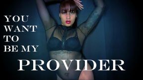 You Want To Be My Provider