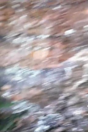 Alex Lima and Fire Wizard Got Together to Roll Paty Butt