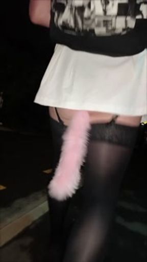 Tail plug on a early morning walk