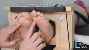 Dorothy's Feet Tickled in Stocks