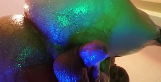 Ass Worship Hallelujah Johnson (I want to get this rimjob on camera)