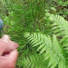 Little cum on a big fern.