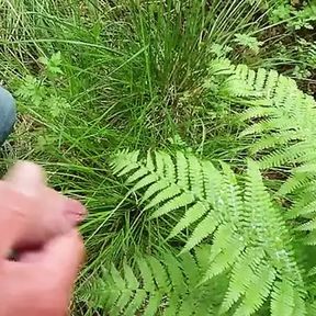 Little cum on a big fern.