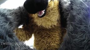 Hot German Shepherd Fucks Cute Gray Submissive Bunny (murrsuit Porn)