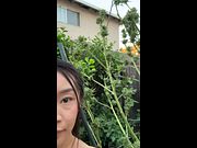 I thought the popcorn nugs would get denser with time but leaving it on the plant too long made it fluffy and grew baby green leaves in the buds.