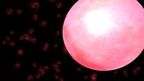 Radiant 8, walking in while my room mate get dressed