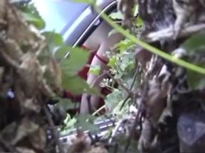 Shameless young couple fucks in the park on