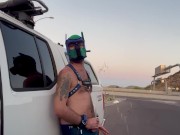 Pup highway pissing