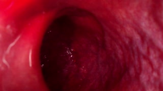 Internal Anal View Large Bad Dragon Rex Pounds My Ass And Cums