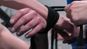 It will hurt! Part 2: the teaching session