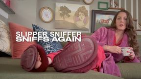 SLIPPER SNIFFER SNIFFS AGAIN