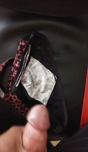 I cum on my girlfriend's thong