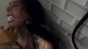 Dominated By Miss Vera Violette