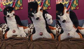Pup play edging deny orgasms gushing cum fountain until leaking