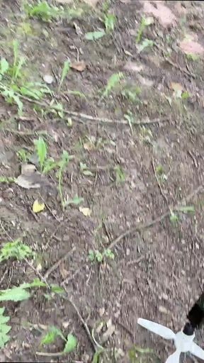 My Private Public Toilette