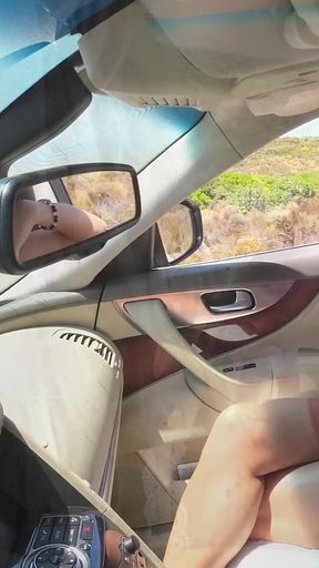 Hitchhiker Pissing 3 Time Out of Window of a Car in Motion