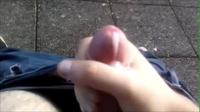 Branlette aux Bois de la Muse