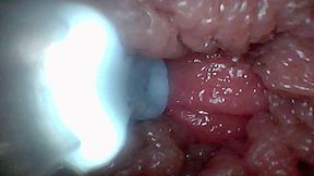 Visual Guide to G-spot Stimulation and Orgasm Endoscop Perspective
