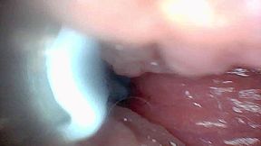 Visual Guide to G-spot Stimulation and Orgasm Endoscop Perspective