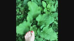 TouchGrass