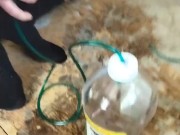 bladder filled and spilled urethra penetration catheter sounding pee pissing CBT
