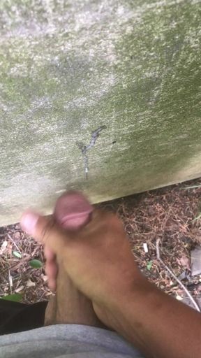 Cumshot In The Woods