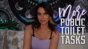 More Public Toilet Tasks