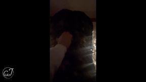 CaraxJack__ This slut in tights is sucking my cock &mdash;  I had to fuck her! ????