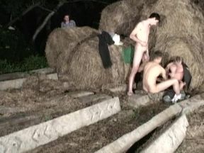 Bareback Ranchers