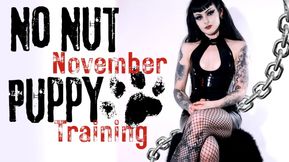 No Nut November Puppy Training