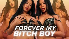 Forever My Bitch Boy Compilation
