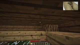 Minecraft Adult porn 03 -  Jenny BoobJob