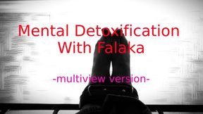 Mental Detoxification With Falaka -multiview-