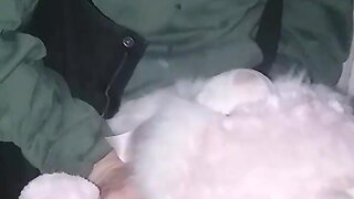 Me shagging my bunny in my friends shed