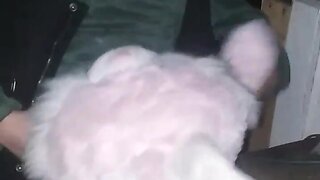 Me shagging my bunny in my friends shed