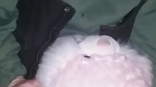 Me shagging my bunny in my friends shed